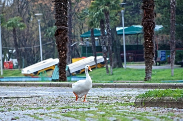 Parklar sağlık için kapatıldı