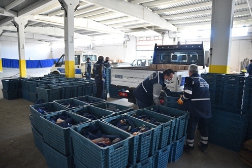 Büyükşehir’den 1500 aileye gıda yardımı