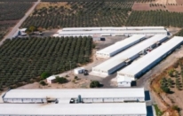 Keskinoğlu, Dünya Çiftçiler Günü’nü kutluyor