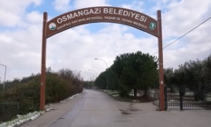 Sahipsiz kedilerin villa keyfi