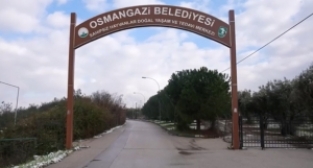 Sahipsiz kedilerin villa keyfi