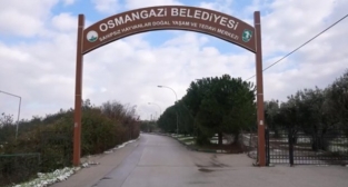 Sahipsiz kedilerin villa keyfi