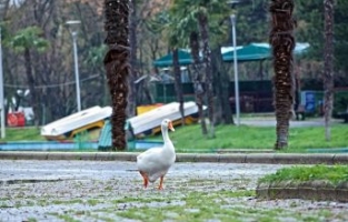 Parklar sağlık için kapatıldı