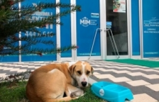 Limak Enerji’den “İç ısıtan” proje