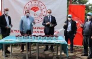 Meyvede verim  doğal yöntemlerle artırılacak