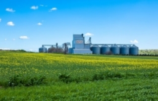 ​Banvit, ISO 500’de sektör liderliğini korudu