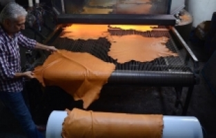 Dericilerin kurban hedefi 300 milyon TL