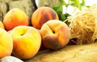 İhracatçılardan pandemide rekor geldi