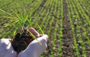 İş Bankası’ndan tarıma yeni kaynak