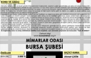 Mimarlar soruyor: ‘Yeşil Mi Bursa?’