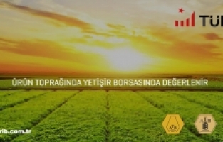 Ürün İhtisas Borsası’nda, ELÜS ile işlem hacmi ikiye katlandı