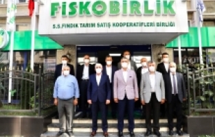 Birlikten güç doğar