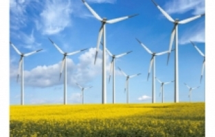 Güller enerji için dönüyor