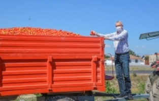 ‘Karacabey’e salça fabrikası yatırımı çağrısı