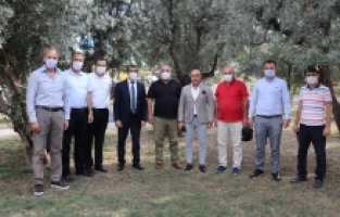 “Kuraklık zeytinin kalitesini etkiledi”