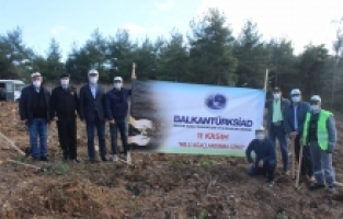BALKANTÜRKSİAD’dan fidan dikimine destek