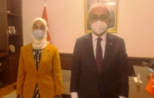 Vekil Gürel, Bakan Elvan ile görüştü