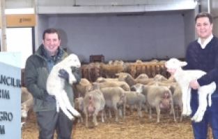 SYK Group hayvancılıkta da başarıyı hedefliyor