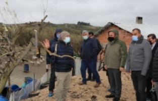 Bursa'da zeytin üreticilerine uygulamalı eğitim