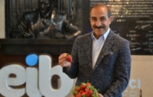 Çilek ihracatında yüzde 333’lük rekor artış