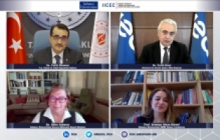 Yenilenebilir enerji en yüksek payına 2021'de ulaşacak