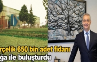 Borçelik 650 bin adet fidanı doğa ile buluşturdu