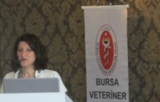 Baysal: "Hayvancılık ve tarım da neoliberal politikaların kurbanı oldu"