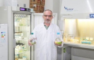 BTÜ’den Tarımda Verimliliği Artıracak Proje