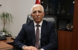 Zeytin üreticisine 800 milyon TL ödeme