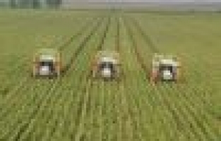 Tarımda bir “Trakya” yok oldu