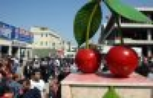 Vişne Caddesi'ne Vişne anıtı 