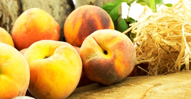 İhracatçılardan pandemide rekor geldi