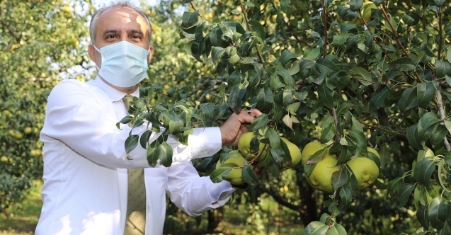 Büyükşehir’in ihracat hedefi 1 milyon dolar